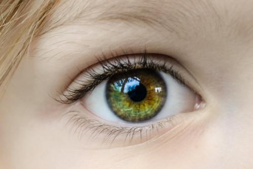 Eye